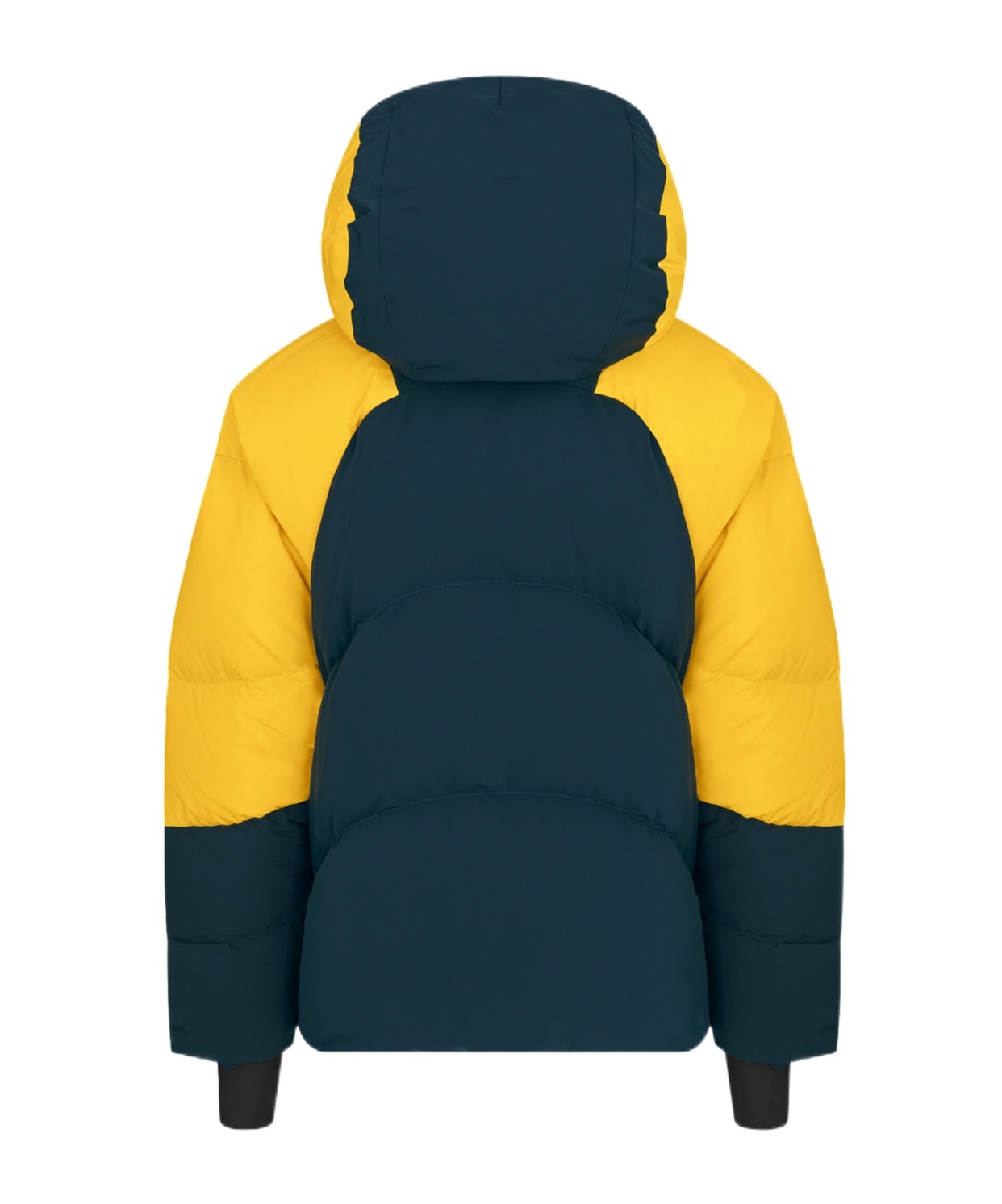 Dior Lewis Hamilton Down Ski Jacket In Blue