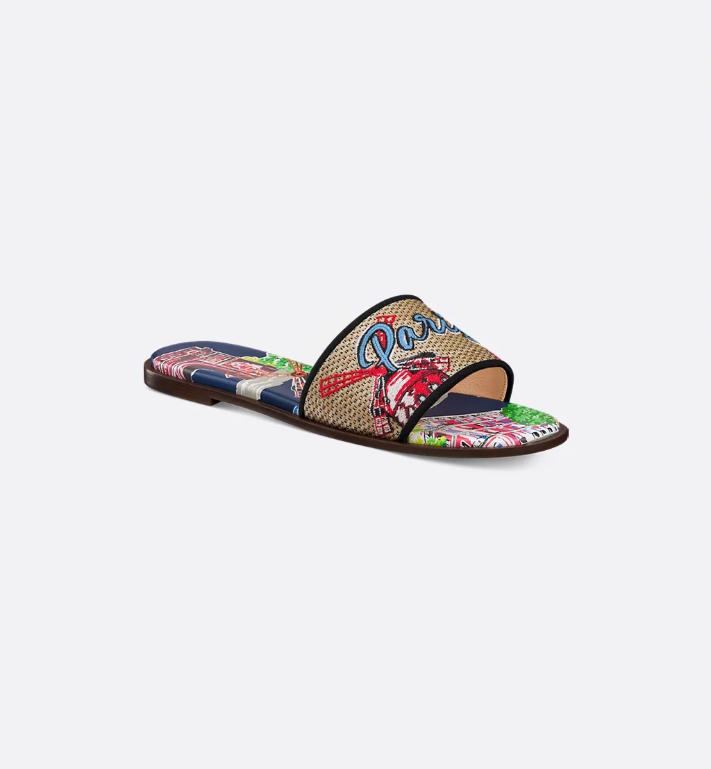 Dior Souvenir Dway Slide In Multi