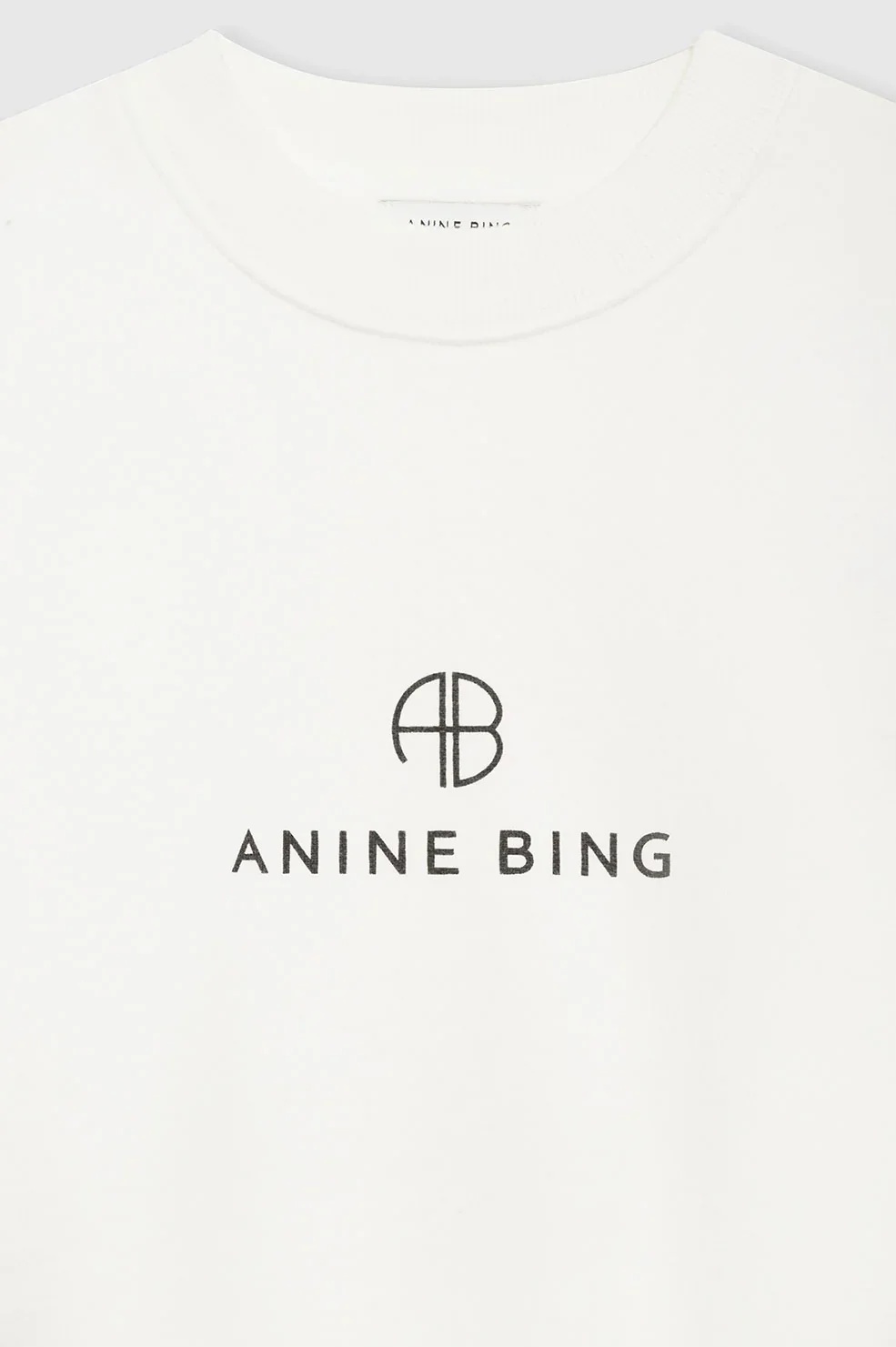 Shop Anine Bing Jaci Long-sleeved Hoodie In White
