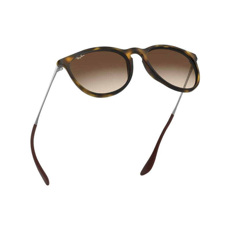 Ray Ban Ray-ban Erika Classic Sunglasses In Green