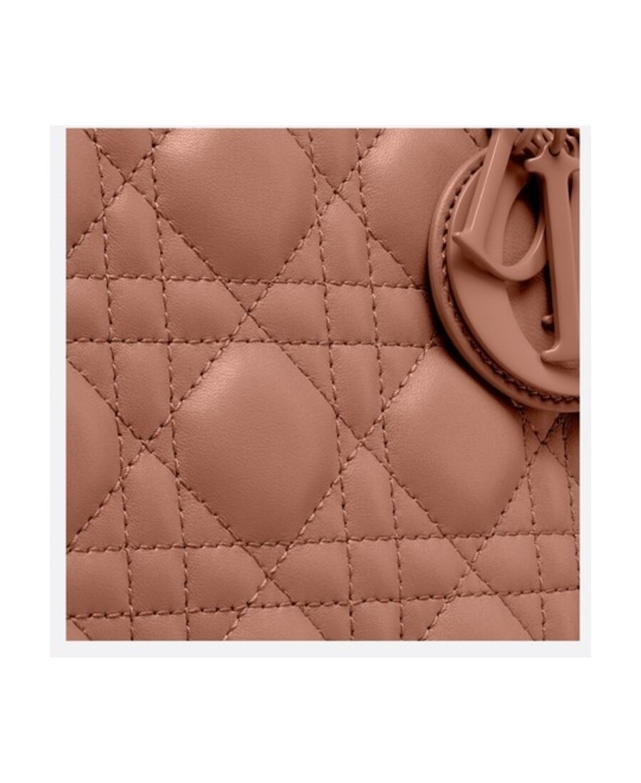 Dior Medium Matte Handbag In Pink