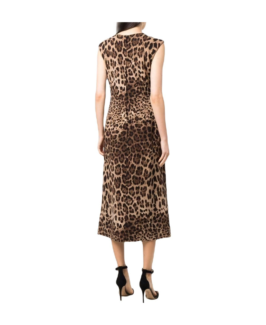 Dolce & Gabbana Leopard-print Wool-crepe Midi Dress In Brown