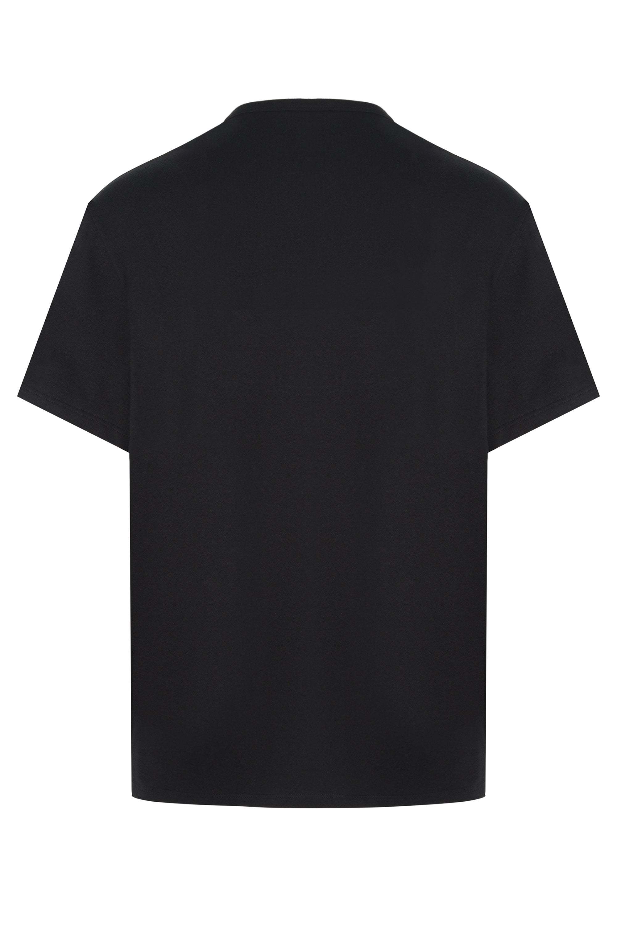 Alexander Mcqueen Alexander Mc Queen Embroidered T Shirt In Black