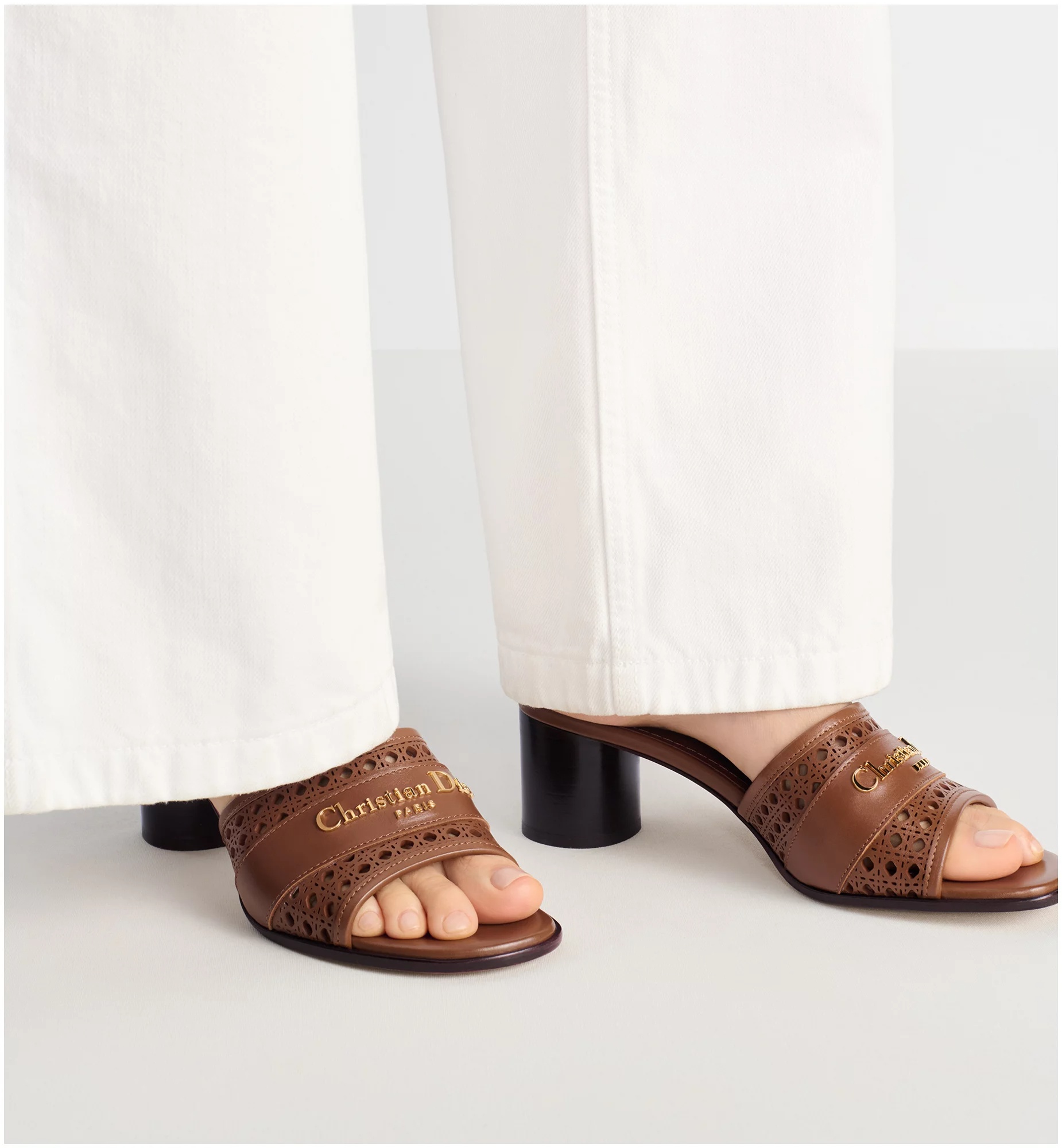 Dior D-lane Heels Sandals In Brown