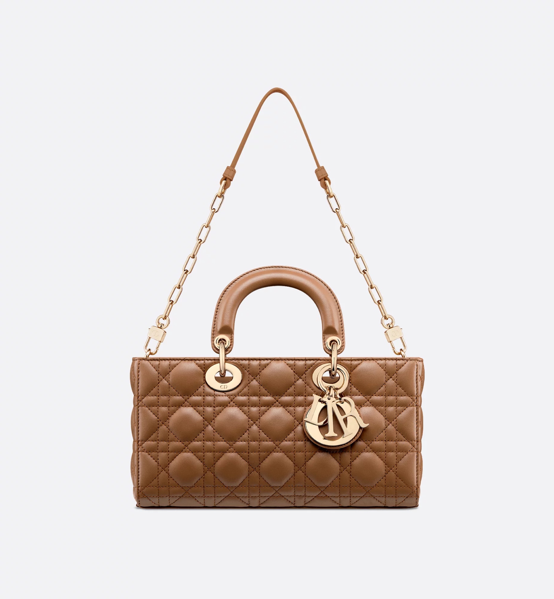 Dior Medium Lady D-joy Bag In Brown