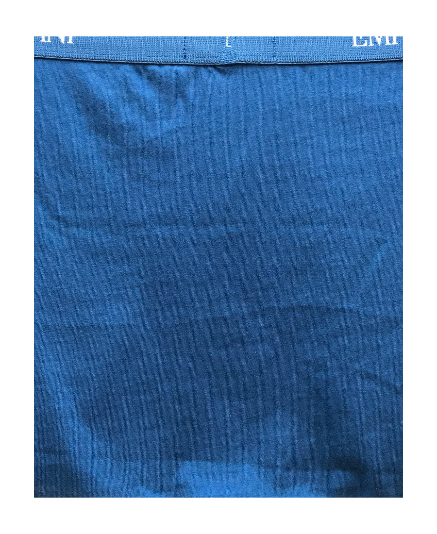 EMPORIO ARMANI LOGO WAIST PANTIES