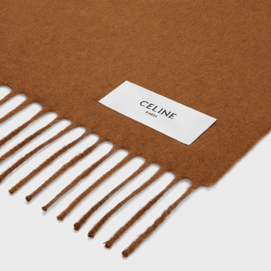 Celine Scarf In Cashmere In Brown