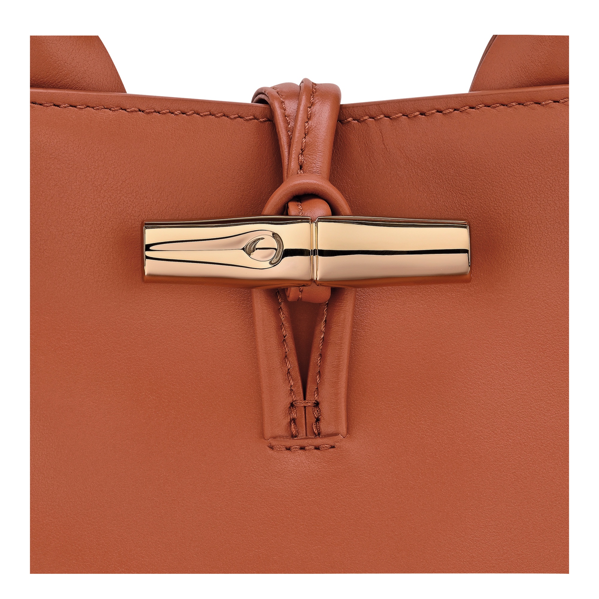 Longchamp Small Le Roseau Tote Bag In Brown