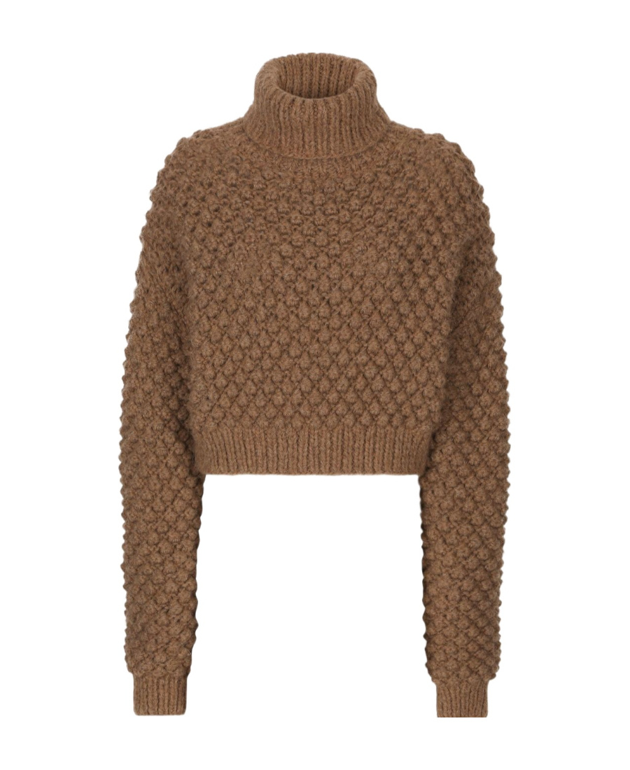 Dolce & Gabbana Roll-neck Cropped Jumper In Brown