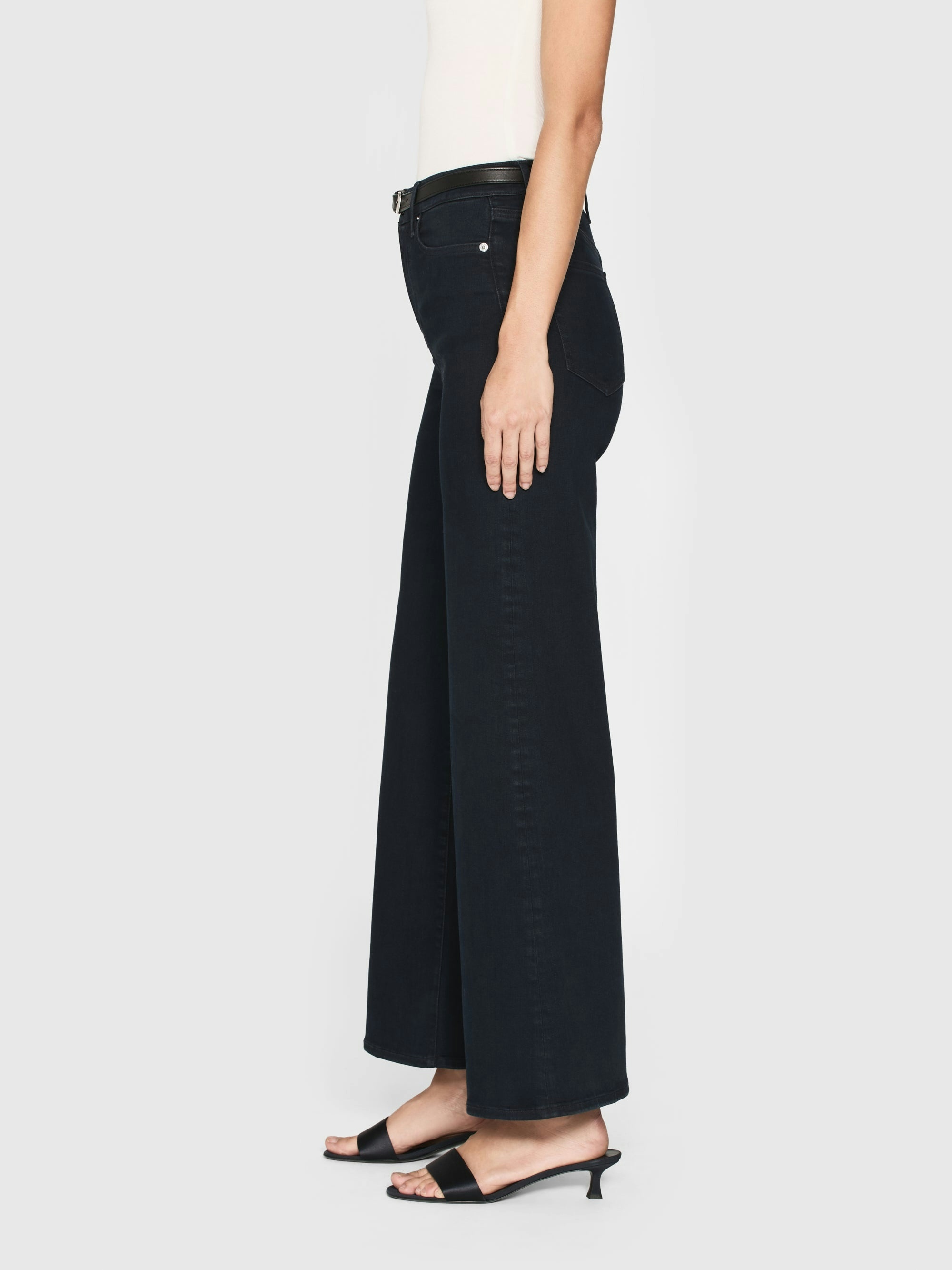 Frame Le Palazzo Crop Wide Leg Jeans