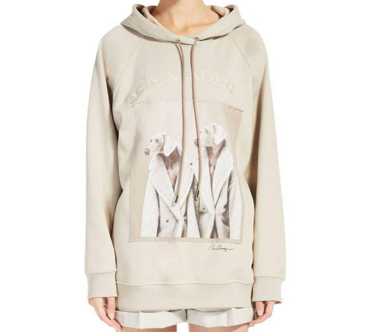 Max Mara Pattern Letters Embroidered Hooded Hooded Hoodie In Brown