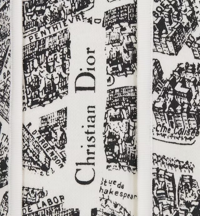 Dior Pattern Printed Shorts In Gray