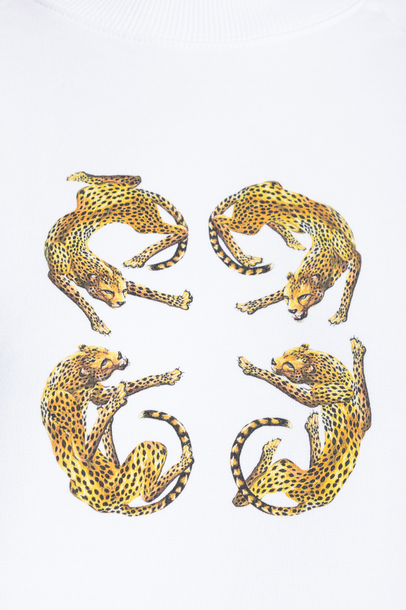 Givenchy Slim Fit Sweatshirt In Fleece With 4g Leopard Print In White