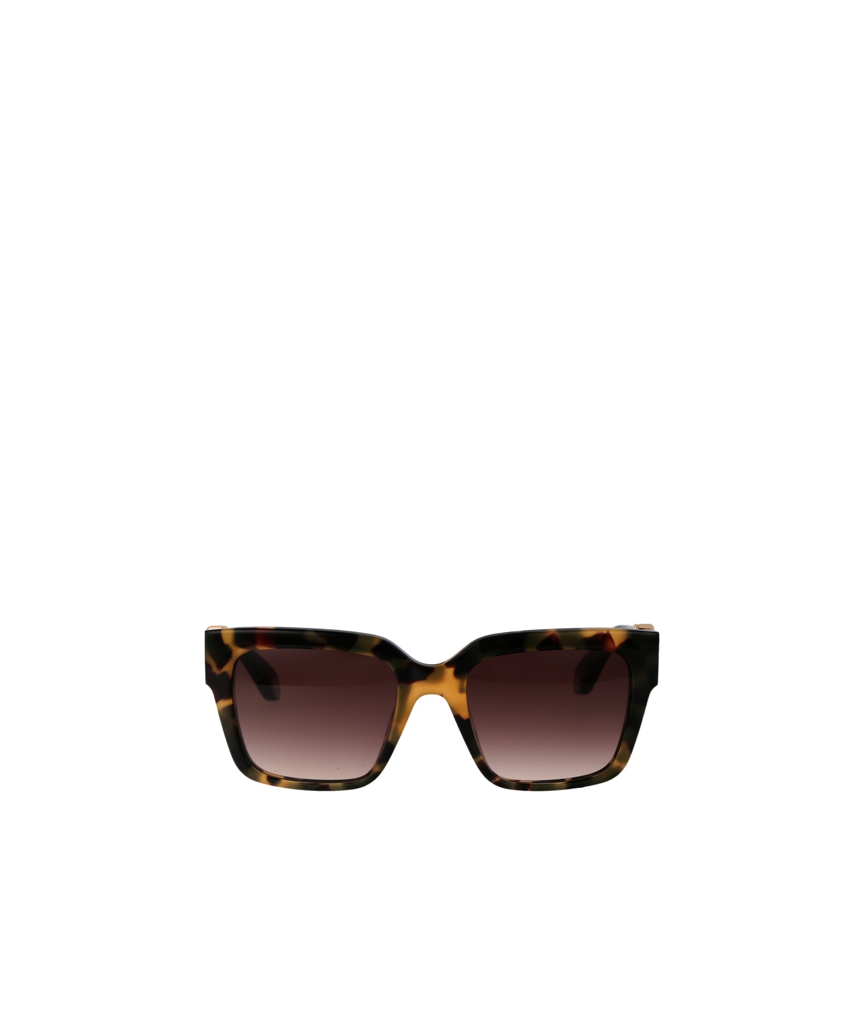 Roberto Cavalli Sunglasses Src040 M 0 Agg In Black
