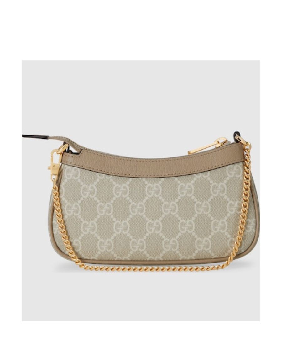 Gucci Ophidia Mini Bag In Brown