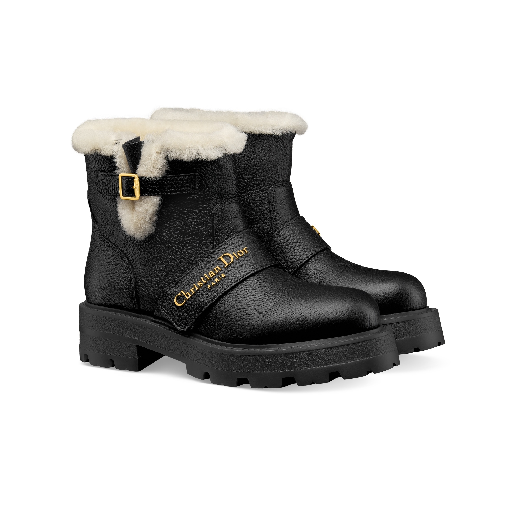 Dior Alps D-quest Ankle Boot In Black