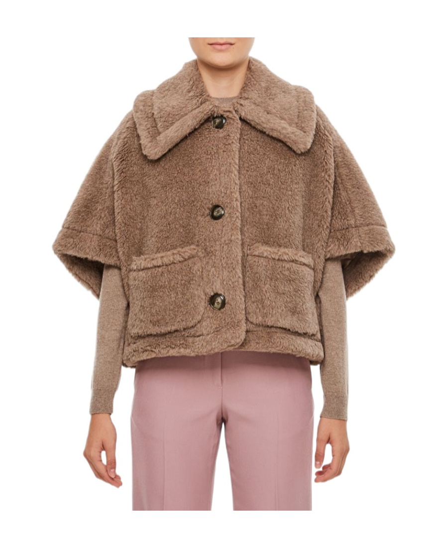 Max Mara Teddy Short-sleeve Cropped Jacket In Brown