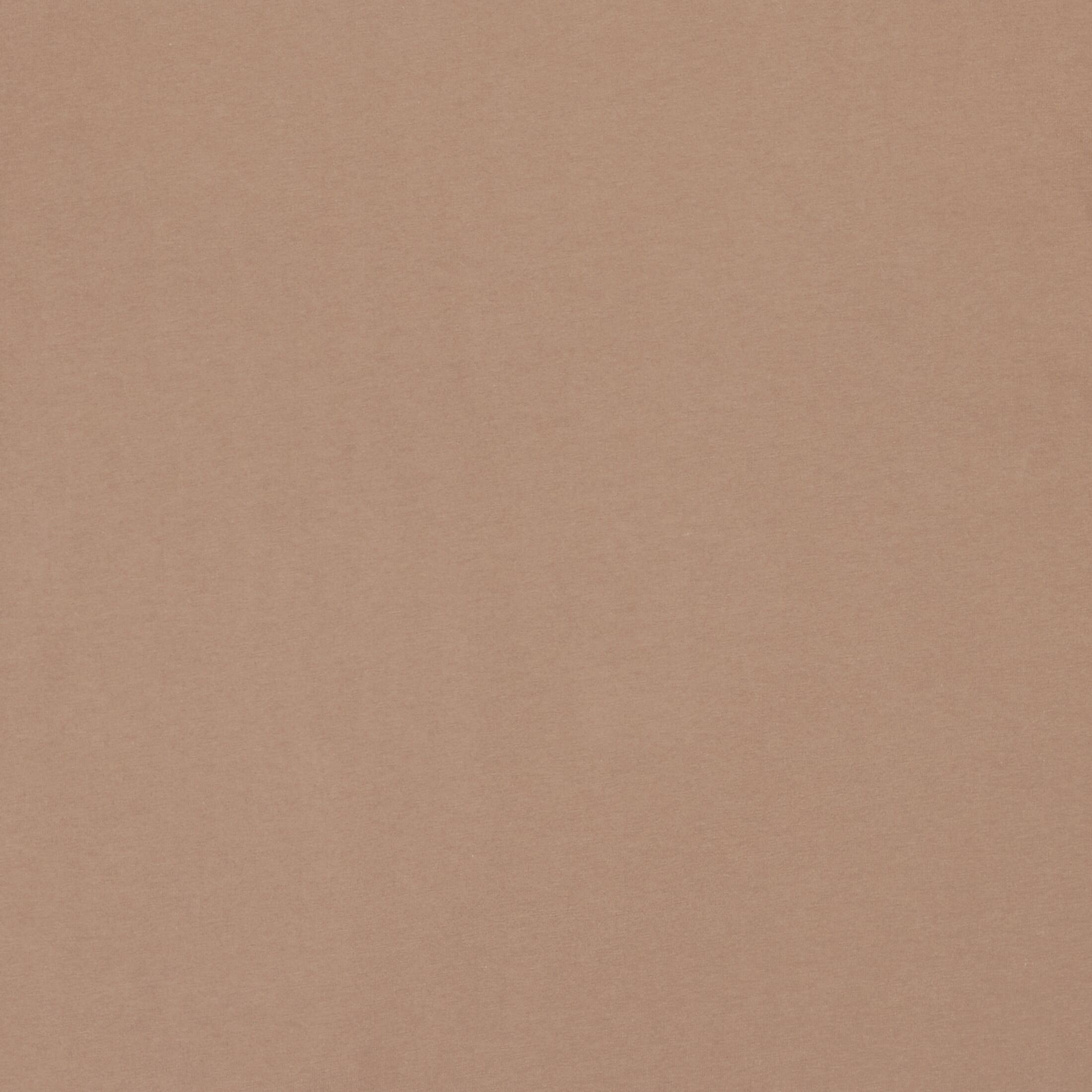 Balenciaga Logo-print Cotton T-shirt In Brown
