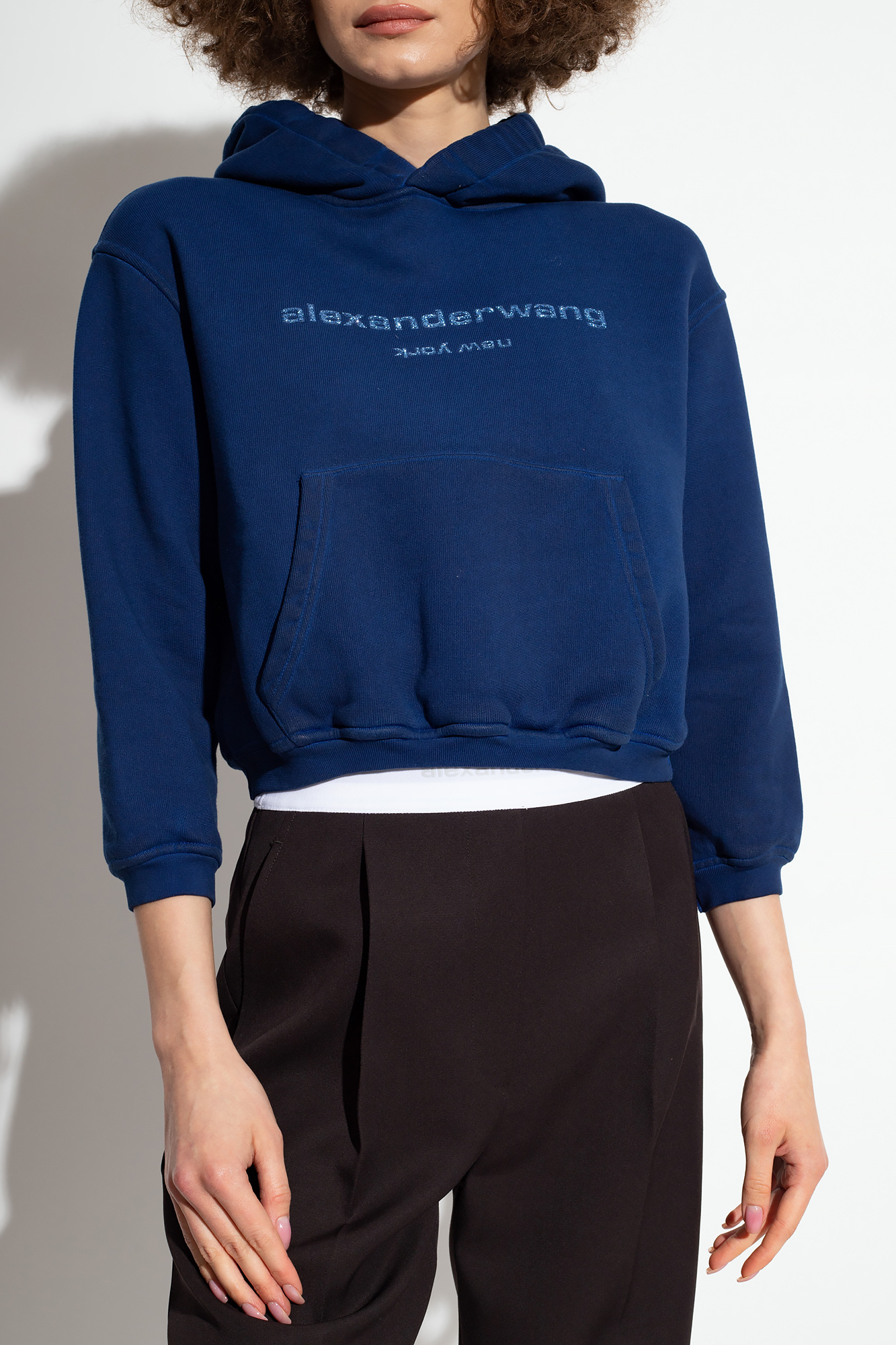 Alexander Wang Cotton Hoodie In Multicolor