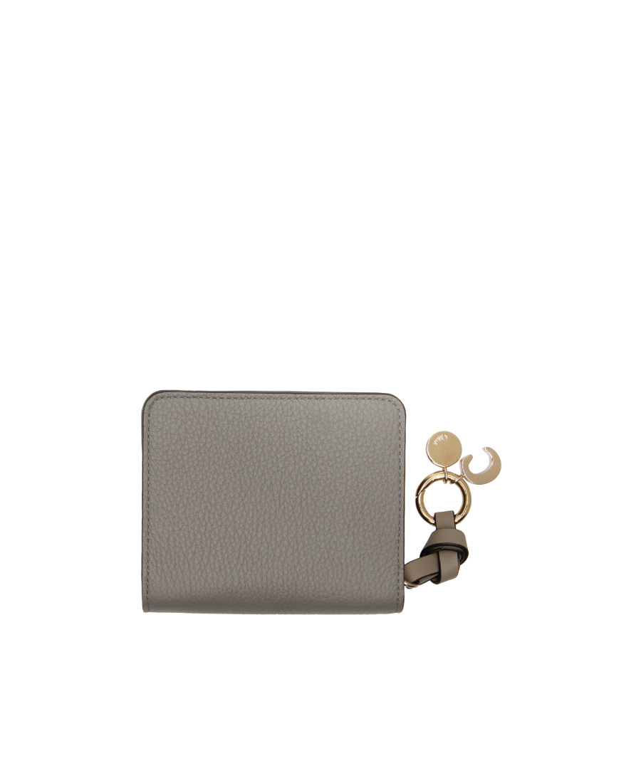 Chloé Small Zipper Wallet In Gray