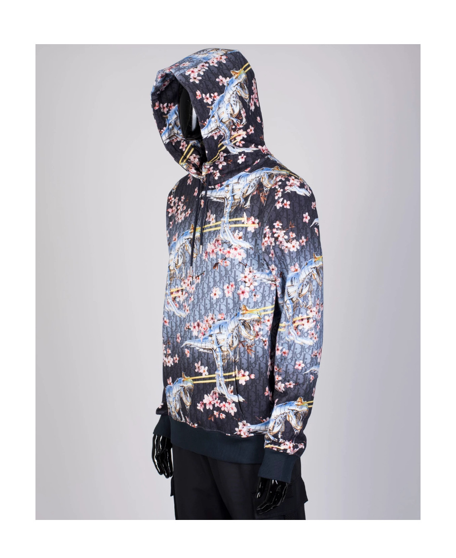 Dior Kongshanji Co-branded Hooded Hooded Sweater In Multicolor