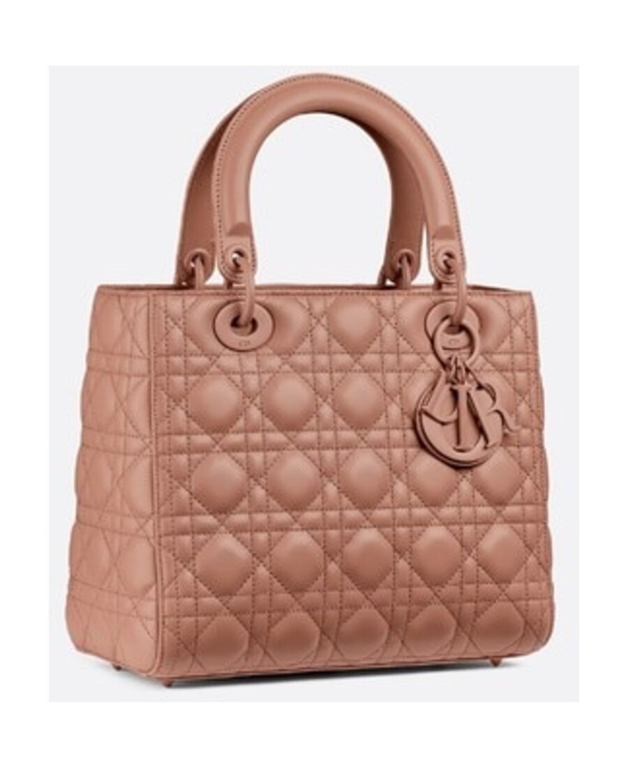 Dior Medium Matte Handbag In Pink