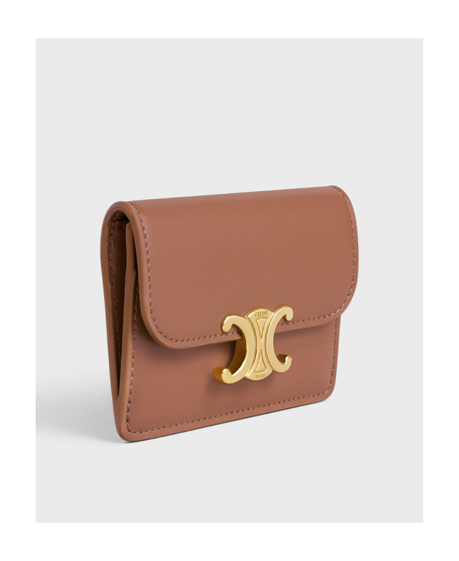 Celine Triomphe Card Bag In Brown