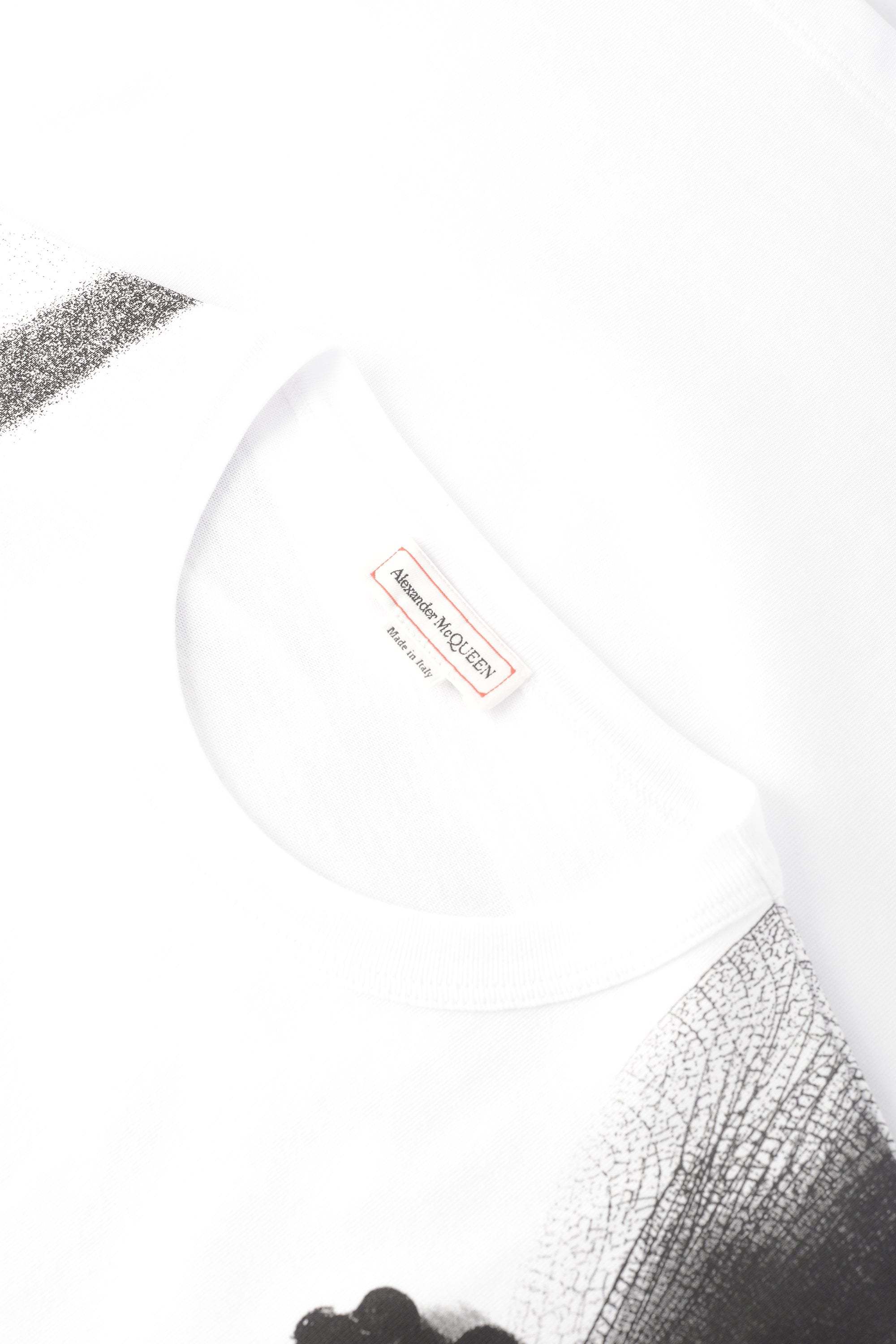 Alexander Mcqueen Dragonfly-print Cotton T-shirt In White