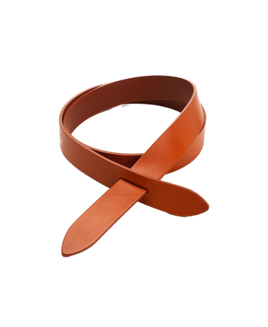 Isabel Marant Leccet Belt In Brown