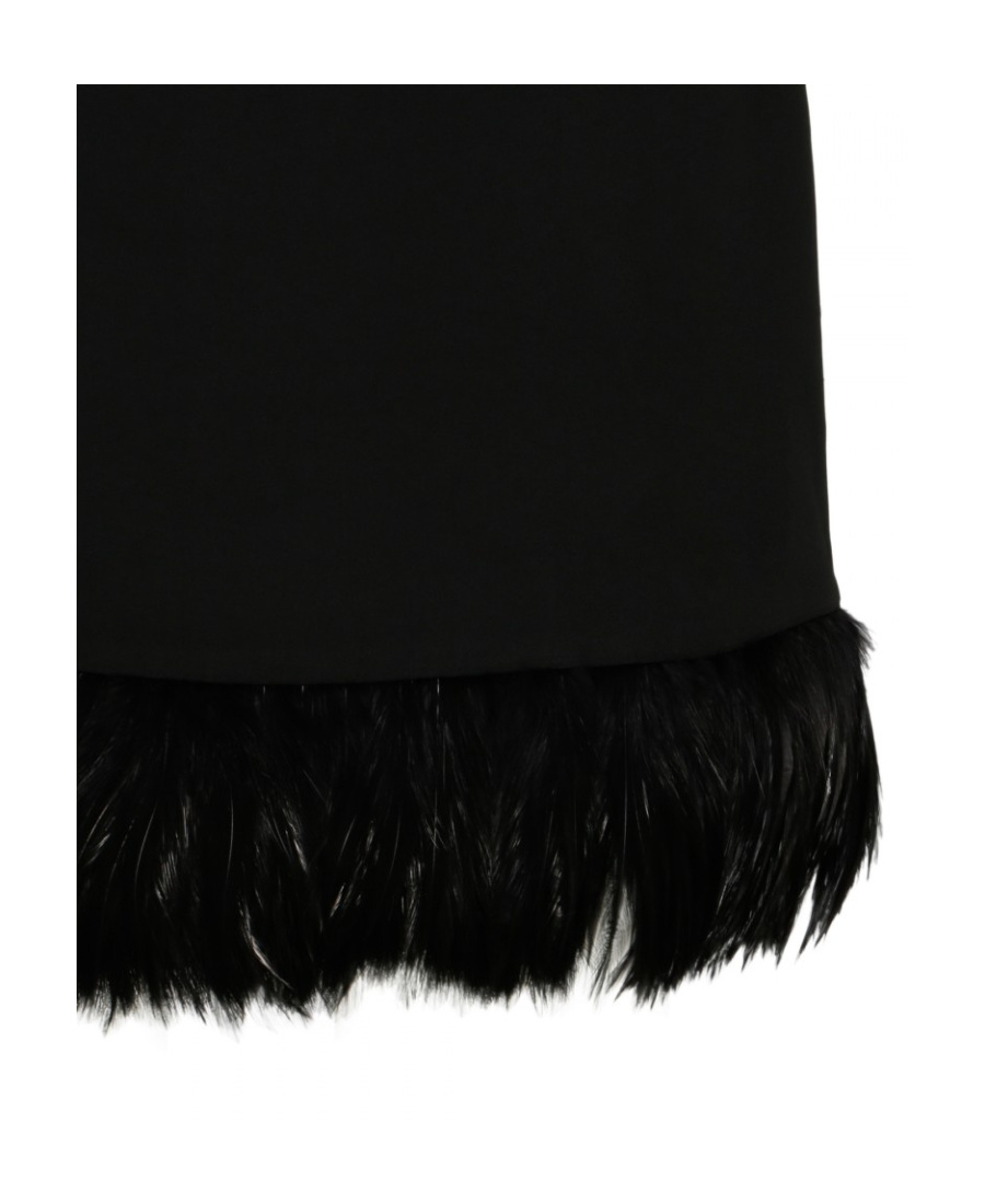 Saint Laurent Feather-trim Sleeveless Mini Dress In Black