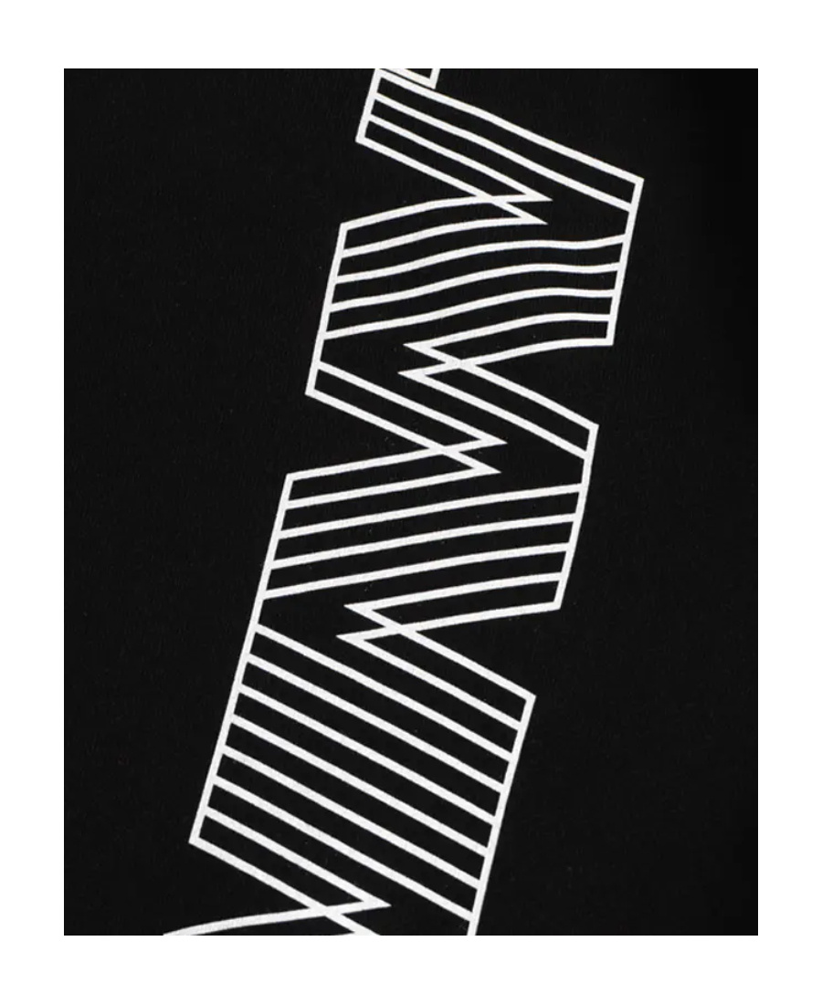 Lanvin Printed Sweater In Black