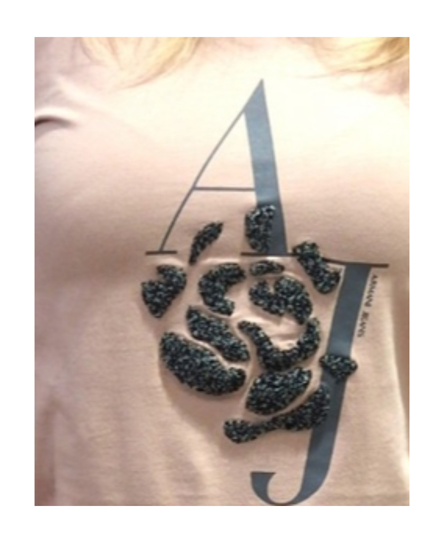Armani Jeans Logo Round Collar Blouse In Nude