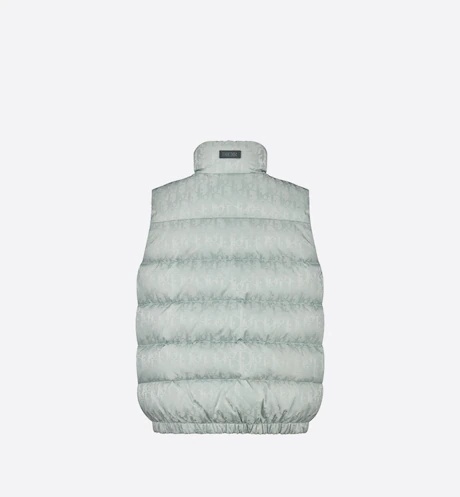 Dior Sleeveless Zipper Down Jacket In Gray