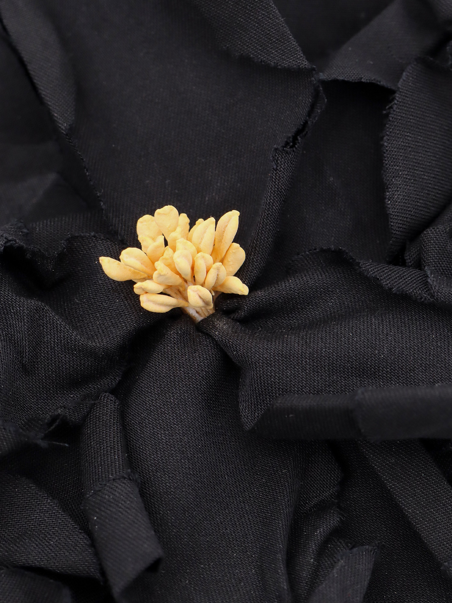 Dolce & Gabbana Floral-motif Brooch In Black