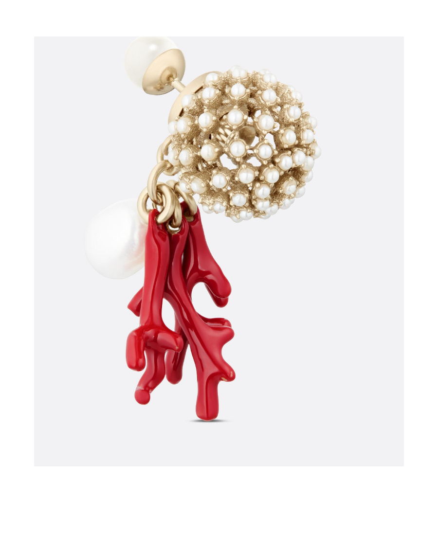 Dior Tribales Earring In Multicolor