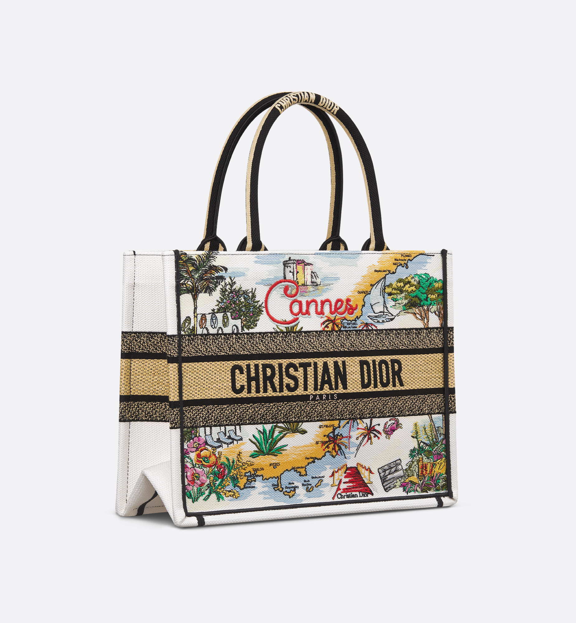 Dior Cannes  Souvenir Medium  Book Tote In Multi