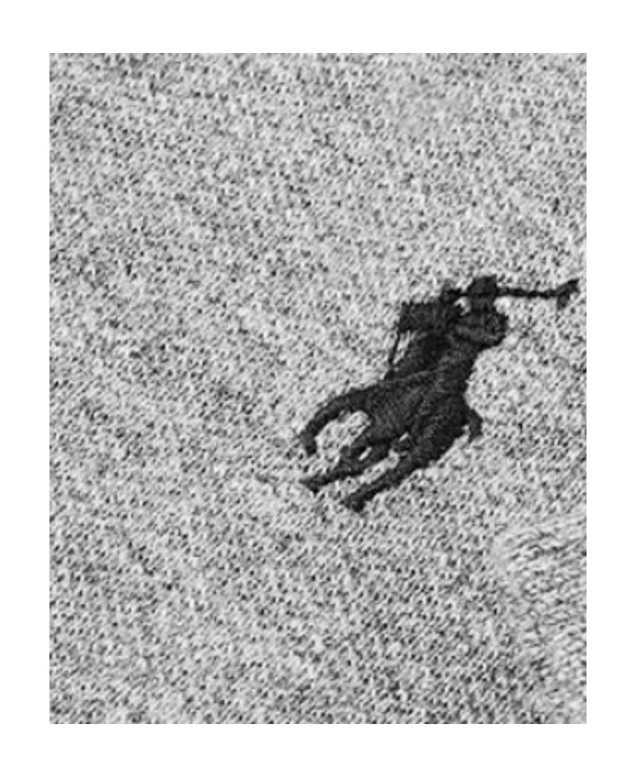 POLO RALPH LAUREN POLO RALPH LAUREN LOGO EMBROIDERED POLO SHIRT