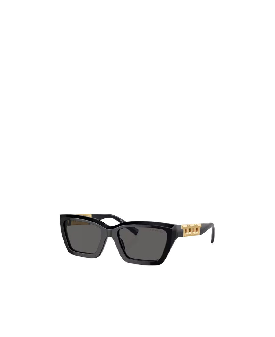 Tiffany & Co Rectangular Logo Sunglasses In Black