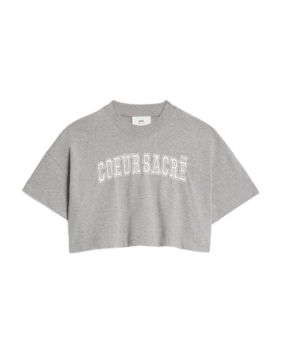 Ami Alexandre Mattiussi Letters Embroidered T-shirt In Gray