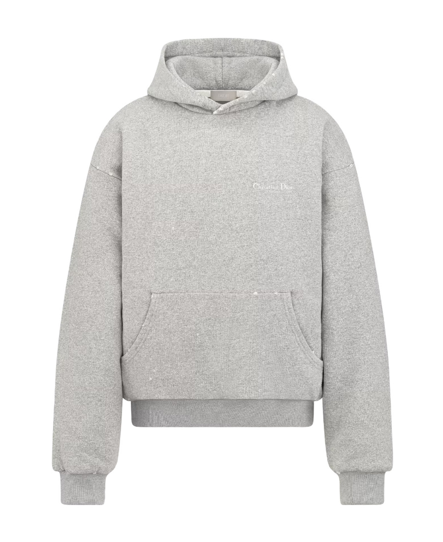 Dior Hooded Printed Sweater In Gray