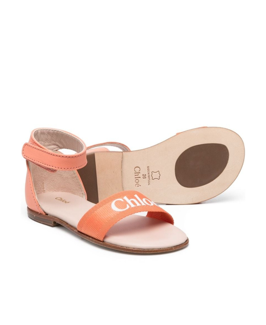 Chloé Logo Sandals In Nude