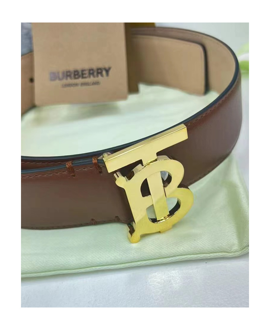 Burberry Tb Buckle Belt In Multicolor