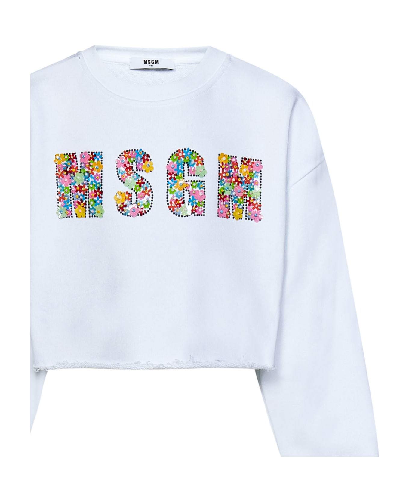Msgm Logo Long-sleeved Sweater In Blue