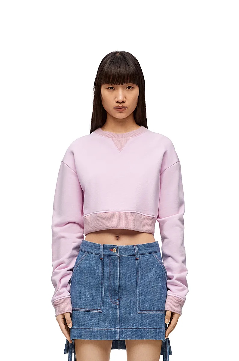 Loewe Long-sleeved Short-style Sweater In Purple