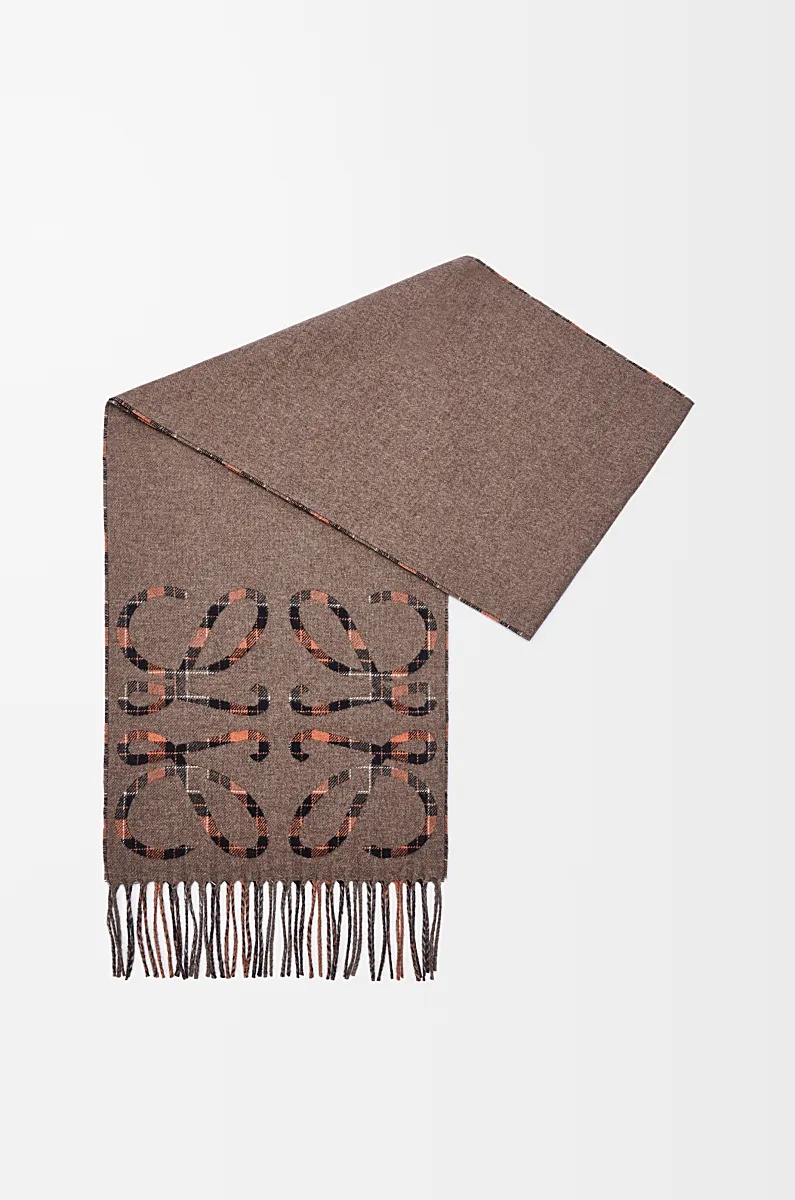 Loewe Tassel Scarf In Multi