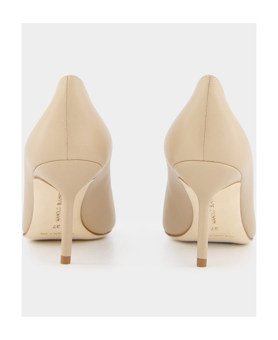 Manolo Blahnik Pointed High Heels In Brown