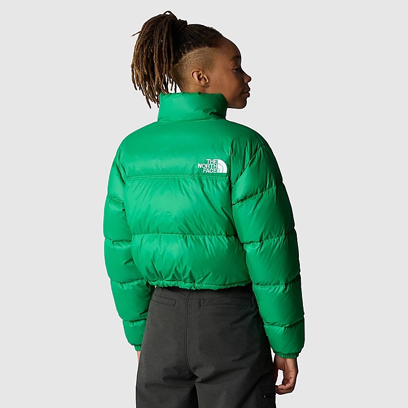 The North Face Nuptse Short Jacket In Green