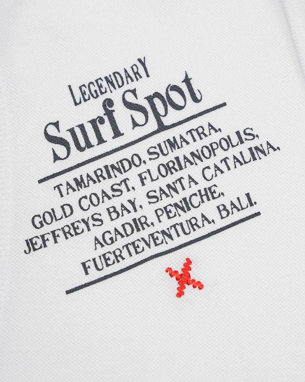 EA7 LOGO PRINTED POLO SHIRT