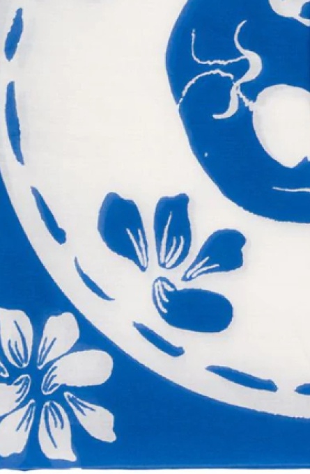 Alexander Mcqueen Pattern Printed Scarf In Blue