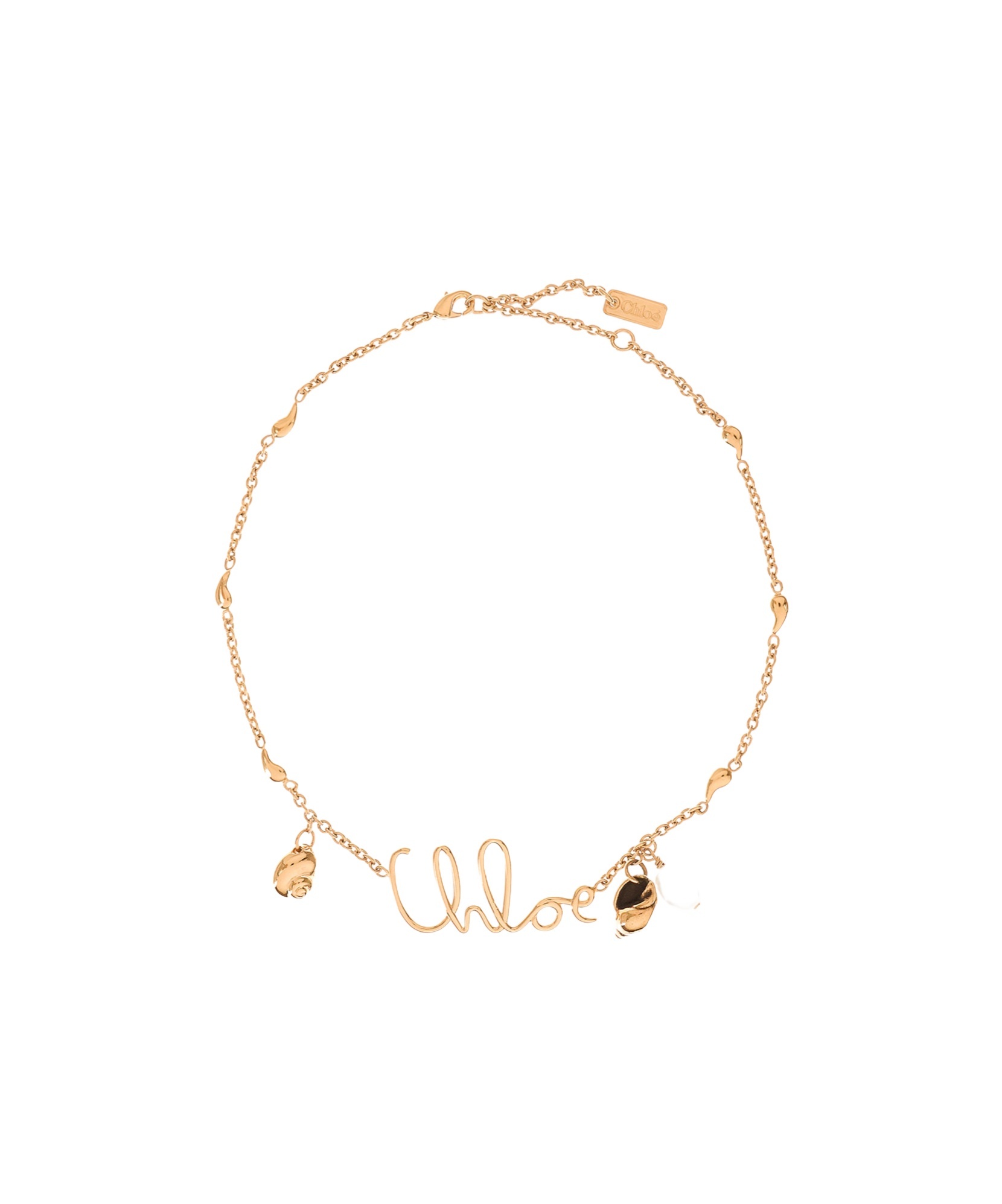 Chloé Shells Chain Necklace In Gold